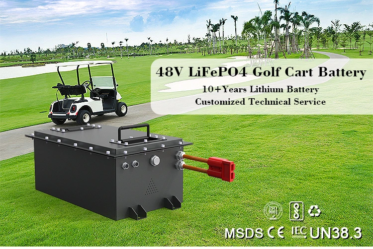 골프 카트, 맞춤화된 LiFePO4 48V 36V 전원베터리를 위한 Cts OEM 48V 80ah 160ah 리튬 이온 전지